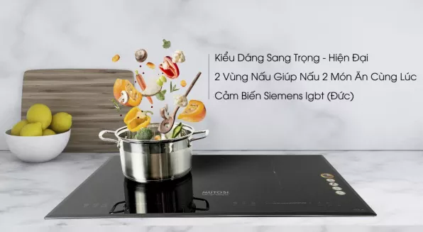 Bếp từ đôi MUTOSI MI-95DI