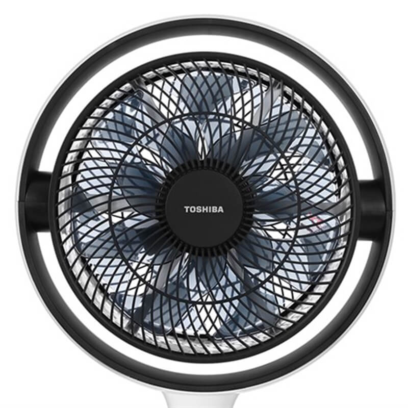 7 cánh phía trước và 9 cánh phía sau